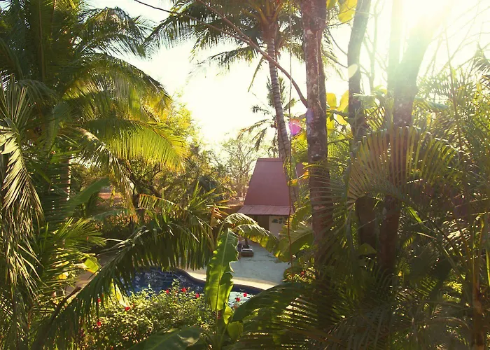 The Sunset Shack Hotel 3*