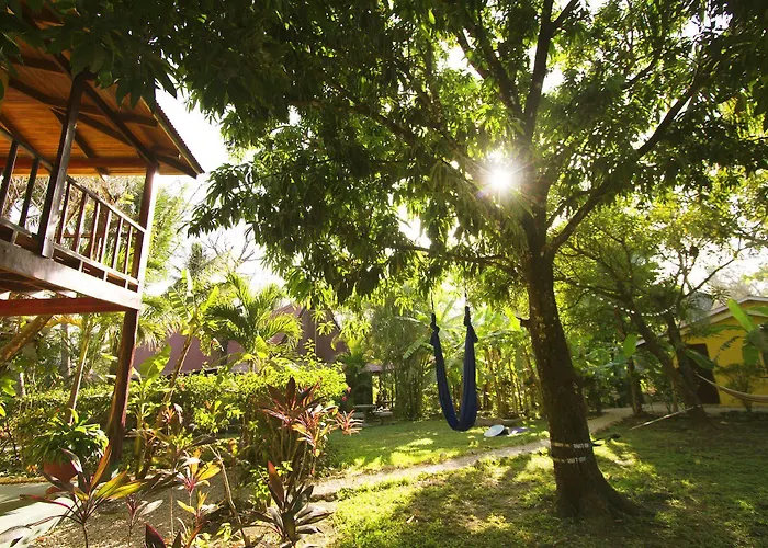The Sunset Shack Hotel 3*